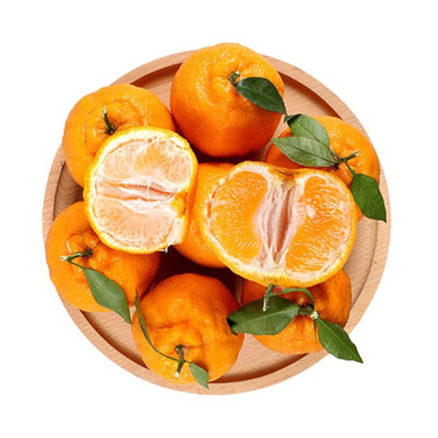 耙耙柑精品特大果80#+ 12个左右 5斤彩箱装