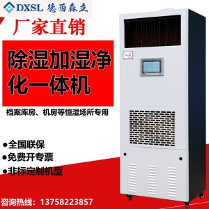 德西森立DXSL-160图书馆档案室实验室商用除湿加湿一体机恒湿机
