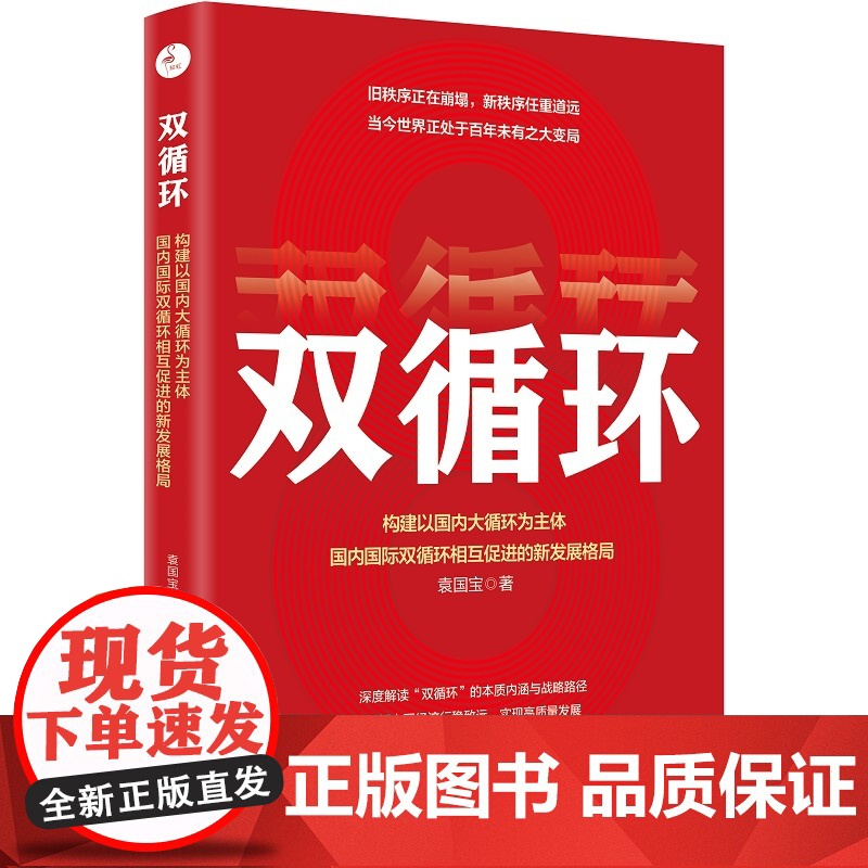 双循环:构建以国内大循环为主体、国内国际双循环相互促进的新发展格局 袁国宝 中国经济出版社 正版书籍