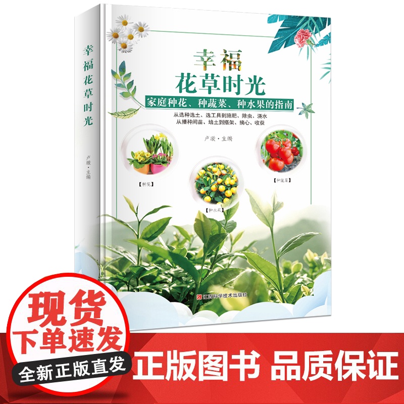 幸福花草时光 彩图版 家庭养花、园艺书籍 家庭种花 种蔬菜 种水果指南 家庭养花和阳台种菜图书