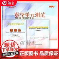 2024-2025堂堂练八下数学初中数学双基过关堂堂练八年级下册8第二学期数学单元测试卷光明日报出版社上海沪教版新版八下