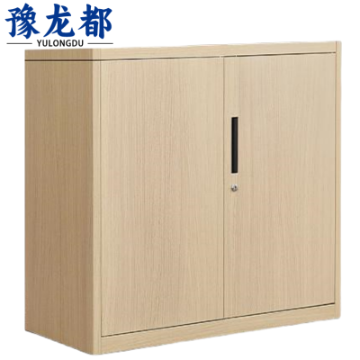 豫龙都档案柜760mm台