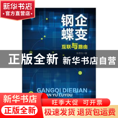 正版 钢企蝶变:互联与路由 张若生著 华南理工大学出版社 9787562