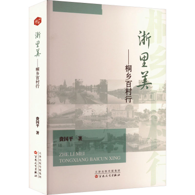 正版新书]浙里美——桐乡百村行费国平 著9787530689035