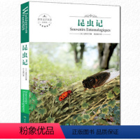 [正版]美的法布尔昆虫记小学生 昆虫记法布尔原著完整版全套初中生一年级课外阅读 外国文学世界名著书籍青少年版小学全套