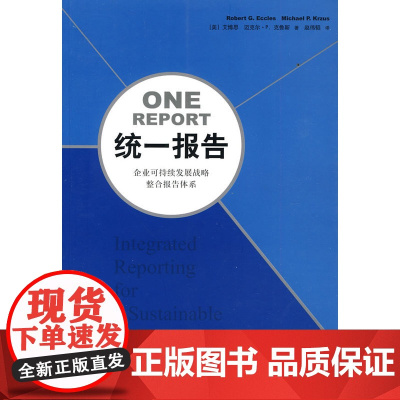 统一报告: 企业可持续发展战略整合报告体系