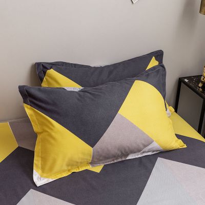 冬季枕套一对装48×74双人ins情侣韩式学生宿舍简约条纹加厚木晓凡