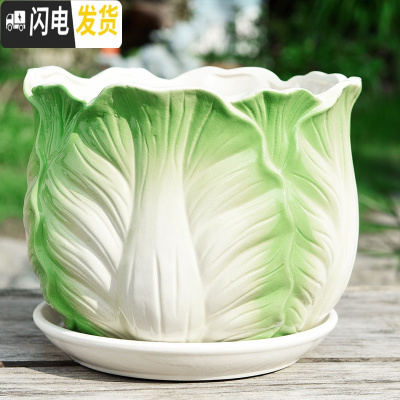 三维工匠花盆陶瓷大号特大带托盘家用吊兰简约创意绿萝大多肉花盆 S1包菜单个 特大花盆容器