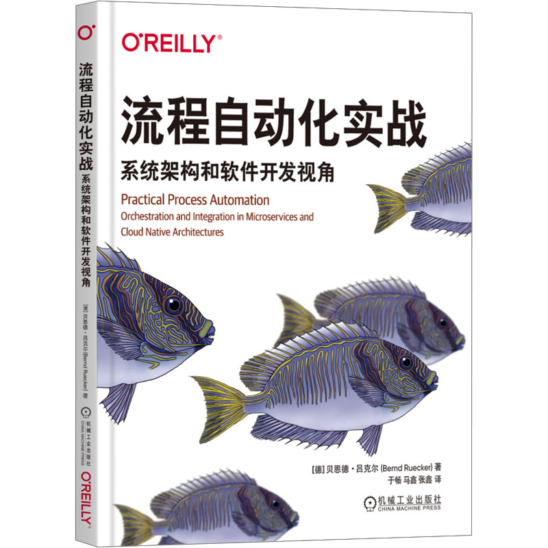 音像流程自动化实战 系统架构和软件开发视角(德)贝恩德·吕克尔