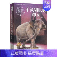 不被驯服的雌象 [正版]沈石溪狼国女王动物小说全集感悟生命书系修订版红豺五彩龙鸟雪域豹影 7-15岁儿童文学中小学生课外