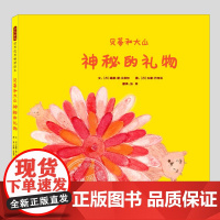 蒂和大山:神秘的礼物(正版硬壳精装)友谊主题儿童绘本3三-4-5到6岁以上幼儿园大中小班宝宝孩子早教阅读睡前启蒙故事图画