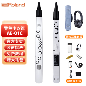罗兰(Roland)AE-01C电吹管新型电子萨克斯支持蓝牙初学者成人老年人电子管乐