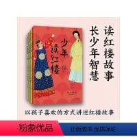 少年读红楼(第一辑,全4册) [正版]7-14岁钱儿爸少年读红楼 第一辑全4册 儿童青少版红楼梦 超级故事 用孩子喜欢