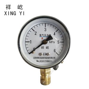 祥屹 +氧气压力表检测定制型+YO60+块