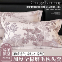 a类全棉磨毛枕套48x74一对装家用秋冬加厚纯棉成人枕芯内胆套单个