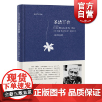 圣洁百合 约翰厄普代克 图书籍 上海译文出版社 世纪出版