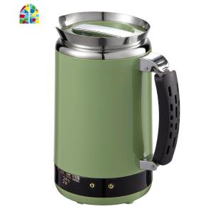 双狐旅行烧水壶多功能电热迷你旅游用宿舍学生小型便携式热水壶杯 FENGHOU 绿色