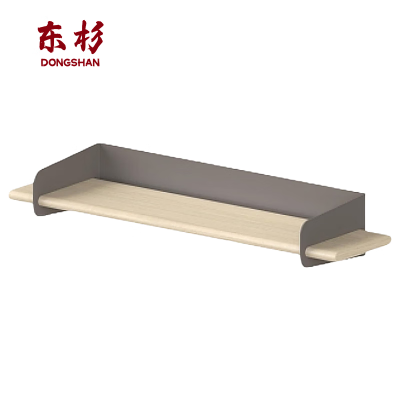 东杉隔板 展示架600x160x100 个