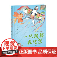 一只风筝在北京/中国非物质文化遗产