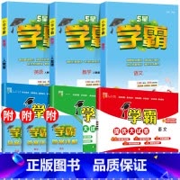 ⭐[6本]语数英学霸作业本+提优卷(人教版)❤️ 六年级下 [正版]2025春小学5星学霸作业本语文数学英语一二三四五六