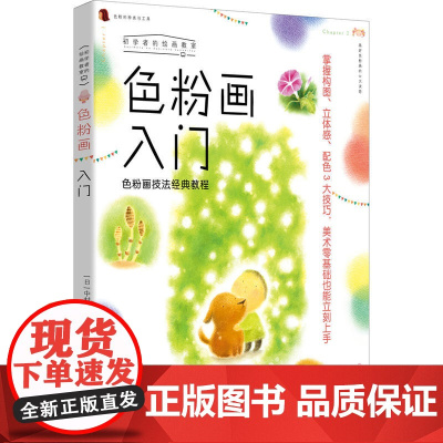 色粉画入门:色粉画技法经典教程,美术零基础也能立刻上手
