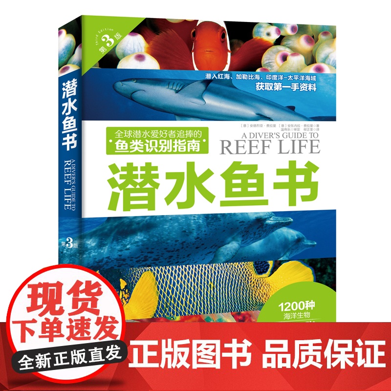 水下摄影 鱼类识别潜水爱好者喜爱的珊瑚礁鱼类识别指南书 潜水爱好者几乎人手一本的“鱼书 告别鱼盲 变身鱼类专家