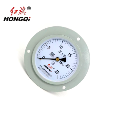 红旗 轴向带边压力表定制检测款Y100ZT(备注压力值)块