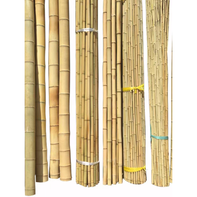 诚智旺 竹竿 直径3公分长4米 根