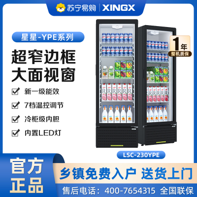 星星(XINGX) LSC-230YPE 222升 立式冷藏展示柜 大容量 7档调温 饮料柜 商用 双层玻璃更锁冷