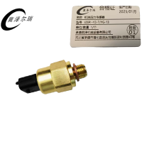 冀泽尔瑞 机油压力传感器 JZER -YZ-7/YG-13 个