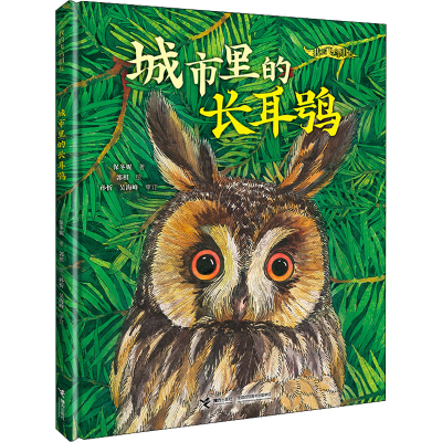 醉染图书城市里的长耳鸮9787544878593