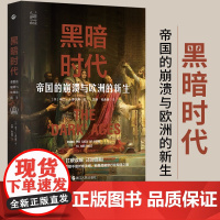 黑暗时代 帝国的崩溃与欧洲的新生 (英)马丁·J.多尔蒂 浙江人民出版社 正版书籍