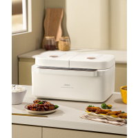 德国OIDIRE多功能双胆电饭煲ODI-SFB1