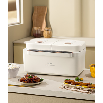 德国OIDIRE多功能双胆电饭煲ODI-SFB1