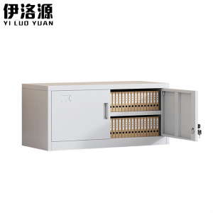 伊洛源凭证柜文件柜850*360*390mm台