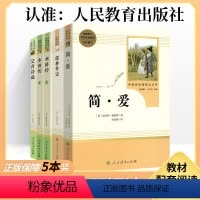 [九年级阅读全套]简爱+儒林外史+水浒传全2册+艾青诗选(共5本) [正版]海底两万里朝花夕拾艾青诗选昆虫记七年级八九年