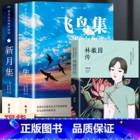 飞鸟集+新月集+林徽因经典文集[3册] [正版]飞鸟集泰戈尔诗选双语全2册 飞鸟集+新月集英汉对照双语版 生如夏花泰戈尔