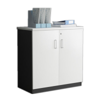 东杉DONGSHAN 办公柜 办公室矮柜打印机柜 18毫米