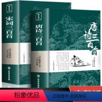 [正版]唐诗宋词三百首全注全译全解全集中国古诗词大全集鉴赏赏析辞典诗经楚辞300首小学生初中生国学经典书籍古诗选集