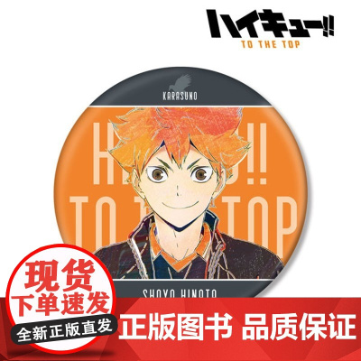 AMNIBUS 排球少年 Ani-Art BIG吧唧徽章Vol.5