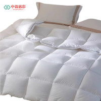 中盈惠彩 被芯 GDBX150 150*200cm 羽丝棉 条