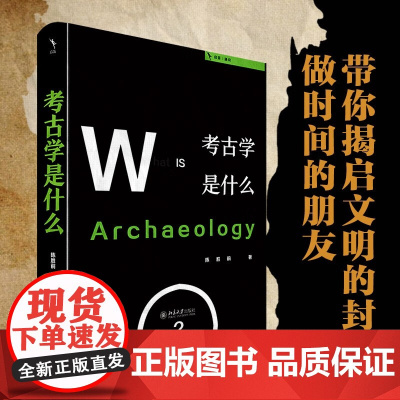 考古学是什么 陈胜前 著 “人文社会科学是什么”丛书系列 考古学通识读本 历史