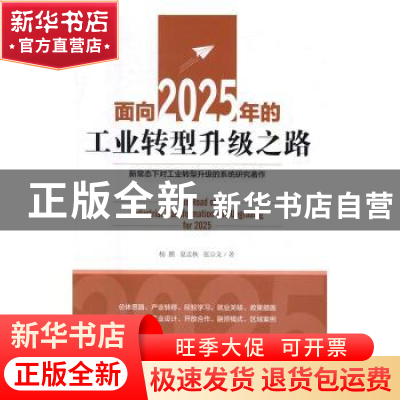 正版 面向2025年的工业转型升级之路 杨鹏,夏孟秋,张宗文 中国经