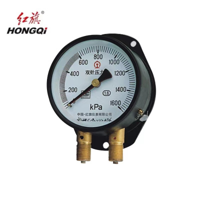 红旗 双针压力表定制检测款 Y100 1600KPA 块