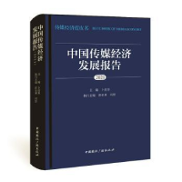 音像中国传媒经济发展报告:2021卜彦芳,漆亚林,司思