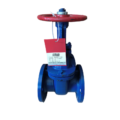 时速 铸铁明杆法兰闸阀 Z41T-16L DN250 个