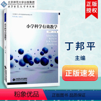 [正版]小学科学有效教学 全国中小学有效教学指导丛书 北京师范大学出版社 丁邦平 9787303188208