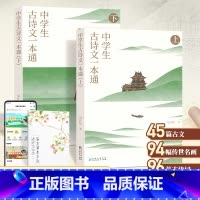 中学生古诗文一本通(上下册) [正版]中学生古诗文一本通上下全套2册初中古诗词和文言文全解一本通中学生语文古诗文完全解读