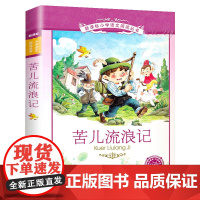 苦儿流浪记小学语文阅读丛书彩图注音版一二年级寒假暑假国学经典早教幼儿启蒙书带拼音的故事书