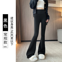微喇鲨鱼裤女外穿春秋新款高腰显瘦收腹提臀灰色打底瑜伽裤子